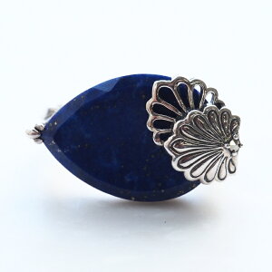 ROKUZAN sXY pbg O w 11`17 Vo[925 }[JTCg RWG[ uh fB[X  ޏ   NX}X v[g lC 