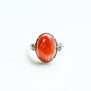 ROKUZAN bhXpCj?VF IE O w 11`17 Vo[925 bhXpCj[VF RWG[ uh fB[X  ޏ   NX}X v[g lC 