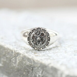 ROKUZAN zCggp[Y ^̌ O w 11`17 Vo[925 RWG[ uh fB[X  ޏ   NX}X v[g lC 