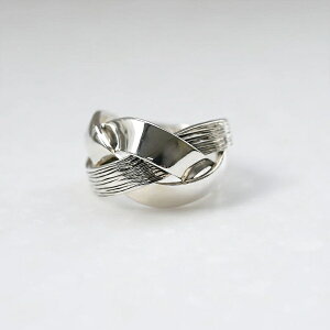 ROKUZAN jbg{[ O w 11`17 Vo[925 RWG[ uh fB[X  ޏ   NX}X v[g lC 