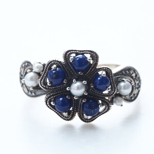 ROKUZAN sXY V[hp[ t[ O w 11`17 Vo[925 sXY p[ ^ }[JTCg RWG[ uh fB[X  ޏ   NX}X v[