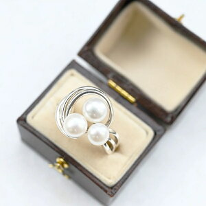 ROKUZAN Wp[ X[p[ O w 11`17 Vo[925 p[ ^ RWG[ uh fB[X  ޏ   NX}X v[g lC 