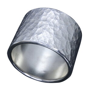  ΊےȖ O 17mm 20`30 w Y Vo[ Vo[O YO Vo[950 j ގ `Z@ Mtg lC  uh