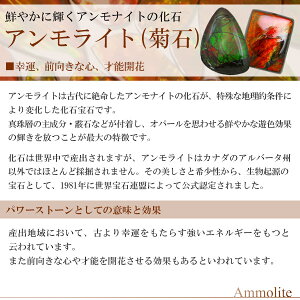 楽天市場 アンモライト シルバー ペンダントトップ スクエア 天然石 パワーストーン アンモナイト 化石 ペンダント メンズ レディース ヘッド トップ アンモライトペンダント ペンダントトップ 宝石アンモナイト 幸運 プレゼント 人気 新宿 銀の蔵