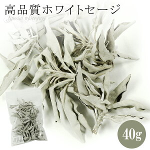 zCgZ[W 򉻗p 40g izCgZ[W Z[W  ObY VR p[Xg[ Z[W̗t n[u zCgZCW zCgZ-W NX}X v[g lC   