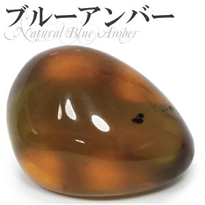 2A+ X}gY u[Ao[   5.5g VR p[Xg[ Ao[  ^u u CeA RnN u[Ao[ ߌ VRΌ 2A+ v[g lC