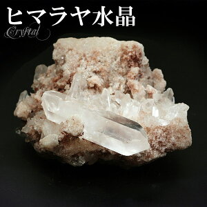  NX^[ q} Y N }i 115g NX^[ q} NX^[ VR p[Xg[   VR NH[c z z W{ u CeA q}