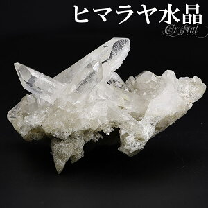  NX^[ q} NE}i Y 57g NX^[ q} q}Y VR p[Xg[   VR NH[c z z W{ u CeA q}