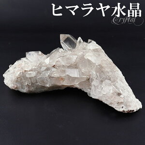  NX^[ q} Y N }i 206g NX^[ q} VR p[Xg[   VR NH[c z z W{ u CeA q}NX^[ 