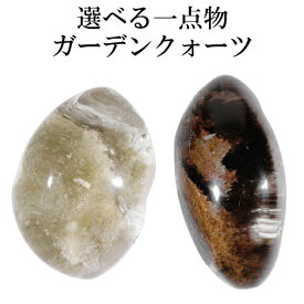 ガーデンクォーツ 磨き原石 約14.8〜33.7g 数量限定 選べる 一点物 原石 天然石 パワーストーン ガーデンクオーツ 天然水晶 クォーツ 浄化 鉱物 鉱石 標本 インテリア 置物 ガーデンクォーツ原石 プレゼント 人気 庭園水晶 苔入り水晶 癒し