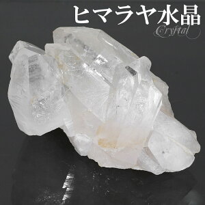  NX^[ q} Y N }i 92g NX^[ q} q}Y  VR p[Xg[  VR NH[c NI[c z z W{ u CeA q}