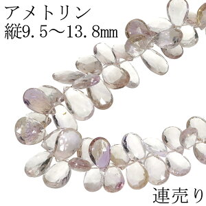 Ag r[Y c9.5`13.8mm yAJbg A 21.3cm A VR p[c Agr[Y Y p[v CG[   nhCh |  Ntg ޗ p[Xg[ VR΃r[