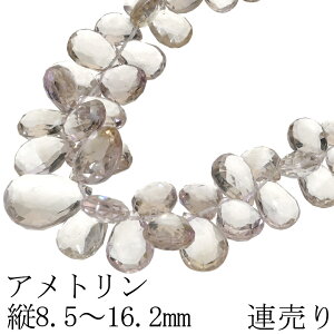 Ag r[Y c8.5`16.2mm yAJbg A 22.5cm A VR p[c Agr[Y Y p[v CG[   nhCh |  Ntg ޗ p[Xg[ VR΃r[