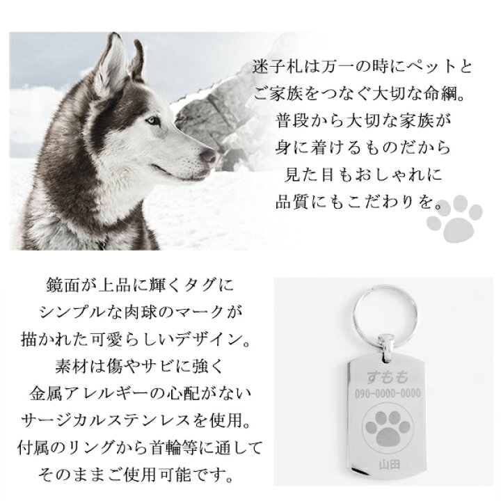 楽天市場 ペット用 迷子札 ステンレス製 刻印 名入れ代 無料 ペット 犬 猫 イヌ ネコ 名札 タグ 迷子 札 ネームプレート ネームタグ 愛犬 愛猫 犬用 猫用 連絡先 サージカルステンレス ネームオーダー プレゼント 人気 おしゃれ 新宿 銀の蔵
