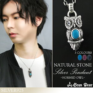 GRAN DEUR 3̃~~YN Vo[ lbNX Vo[ANZT[ Y jp y_g ^[RCY Tt@CA r[ VR  ӂ낤  YlbNX jplbNX u