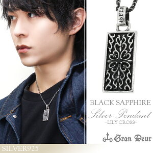 GRAN DEUR  NX ubNTt@CA Vo[lbNX y_g gbv Vo[ANZT[ Y lbNX jp B S Tt@CA jplbNX uh v[