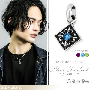 VR XNGA [ Vo[ y_ggbv `F[Ȃ u[gp[Y wbh gbv y_g Vo[ANZT[ Y lbNXgbv jp Vo[925 S NX