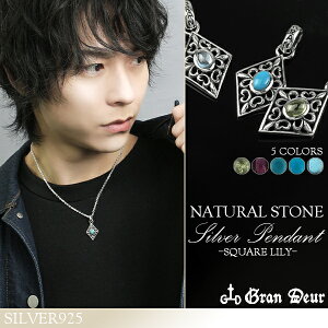 VR XNGA [ Vo[ y_ggbv `F[Ȃ yhbg ^[RCY u[gp[Y K[lbg wbh gbv Vo[ANZT[ Y lbNXgbv jp 