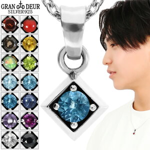 GRAN DEUR Iׂ VR v` _C^ Vo[ 925 y_g lbNX y_ggbv TS ANA} K[lbg Vg AWXg yhbg X[L[NH[c gp[Y 