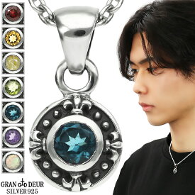 天然石 ネックレス ペンダントトップ シルバー 925 メンズ レディース ペンダント アメジスト シトリン ガーネット ロンドンブルートパーズ ペリドット ルチルクォーツ オパール 誕生石 1月 2月 8月 10月 11月 男性 女性 彼氏 彼女 誕生日 記念日 プレゼント 人気 おしゃれ