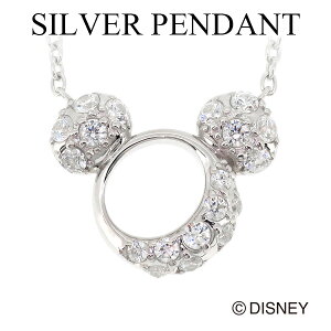 ディズニー ピアスの通販 価格比較 価格 Com