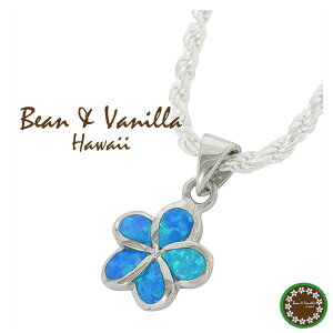 nCAWG[ vA  VZeBbNIp[ Vo[lbNX nCA uh fB[X y_g Vo[925  t[ Mtg v[g  lC 킢