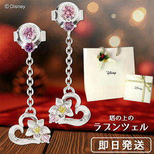 Disney fBYj[ vZX vcF sAX ̏̃vcF Vo[sAX Vo[ n[g  ItBV WG[ ANZT[ Disneyzone lC Mtg NX}X v