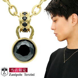 当店限定 ザニポロタルツィーニ 一粒 ブラック ジルコニア サージカルステンレス ゴールド ネックレス メンズアクセサリー 金属アレルギーフリー 医療用ステンレス キュービックジルコニア 彼氏 メンズネックレス ブランド 記念日 誕生日 プレゼント 人気 おしゃれ