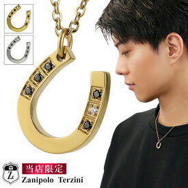当店限定 ザニポロタルツィーニ 選べる2カラー 馬蹄 ゴールド ネックレス メンズ サージカルステンレス 金属アレルギー対応 金 銀 シルバー ジルコニア 医療用ステンレス アレルギーフリー ホースシュー 蹄鉄 彼氏 男性 記念日 誕生日 プレゼント 人気 おしゃれ