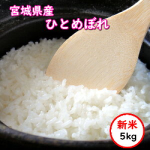 ߘa7NY V   yi5,280~z {錧Y ЂƂ߂ڂ 5kg(5Kgx1)@  Iׂ鐸ĕ@