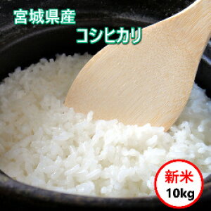 �ߘa7�N�Y �V�� �������� ������ �y�V�ē������i8,280�~�z �{�錧�Y �R�V�q�J�� 10kg(5Kgx2)�@����������