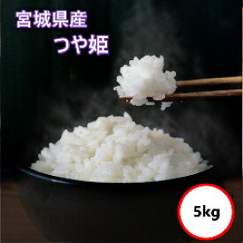 令和7年産 送料無料 無洗米 【セール価格4,080円】 宮城県産 つや姫 5kg(5Kgx1) 乾式無洗米
