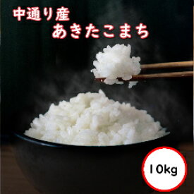 令和5年産 送料無料 無洗米 【セール価格4,980円】 福島中通り産あきたこまち 10kg (5Kgx2) 精米 乾式無洗米 選べる精米方法