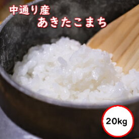 令和5年産 送料無料 無洗米 【セール価格8,380円】 福島中通り産あきたこまち 20kg 選べる精米方法