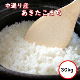 令和5年産 送料無料 無洗米 【特売価格12,180円】 福島中通り産あきたこまち 30kg 選べる精米方法