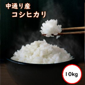 令和5年産 送料無料 無洗米 【超特売価格4,630円】 福島中通り産コシヒカリ 10kg (5Kgx2) 精米 乾式無洗米 選べる精米方法