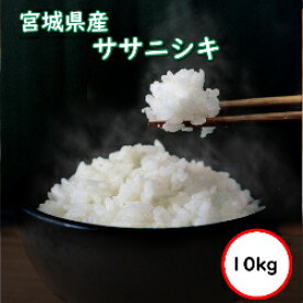 令和7年産 送料無料 無洗米 【セール価格9,550円】 宮城県産 ササニシキ 10kg (5Kgx2) 乾式無洗米 精米 選べる精米方法