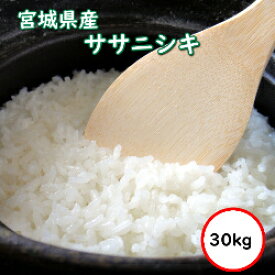 令和5年産 送料無料 無洗米 【特売価格13,280円】 宮城県産 ササニシキ 30kg 精米 乾式無洗米 選べる精米方法