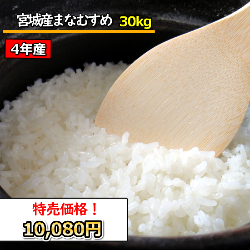 送料無料　無洗米　　宮城県産 まなむすめ30kg　令和4年産　精米　乾式無洗米　選べる精米方法