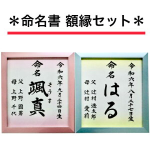  S 菑M ڂJ[F z z oY oYj oYj j Ԃ V LOi 蕨 aLO