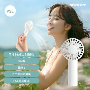 gѐ@ nfBt@ ^@ ő16ԘAғ 莝@ gуt@ @ É @ ~j@ | Xgbvt 3iK [d R[hX USB Type-CΉ R