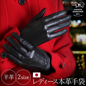 fB[Xv pv wlprv  cX U[O[u ϔ { 쌧̐Eldグꋉi(GP10) NX}X v[g