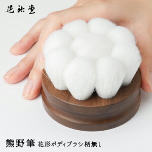 {fBuV  Rr WS Ԍ`{fBuV  FM ˔  O av[g Mtg ̐ w PA C jLr {fBPA oXObY  202509SS