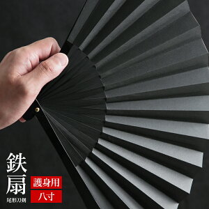 扇子 鉄扇 鉄扇8寸 尾形刀剣 TS-B 鉄の扇子 黒 袋付き 箱入り プレゼント 父の日 メンズ ギフト 防犯 護身用 縁起物 出世 戦国時代 武器 父の日 息子 彼氏 恋人 夫 家族 友達