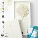 線香花火 筒井時正玩具花火製造所 花一片 20本入り はなひとひら 化粧箱入り 筒井時正 花火 御中元 おしゃれ かわいい…