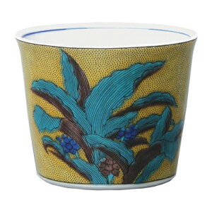 y[}KW]I5%OFF!z J  gcN} MCF-11