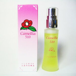 ܓY ֖i΂j JA510i30ccj nhIC