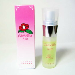 ܓY ֖i΂j JA510i10ccj nhIC