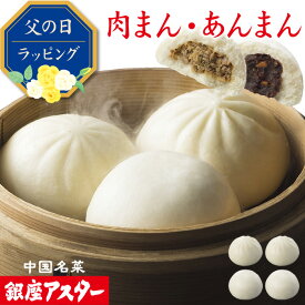 銀座アスター【肉まん2個 あんまん2個（冷凍）】お歳暮 お歳暮 御年賀 詰め合わせ お取り寄せ 豚まん 豚マン 肉マン お土産 くるみ 中華あん お返し お礼 プレゼント お祝い 誕生日 御見舞 志 御供 内祝い 高級 贈り物 暑中見舞 残暑見舞 敬老の日