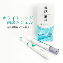 楽天市場】美 歯 口 シャリオンの通販